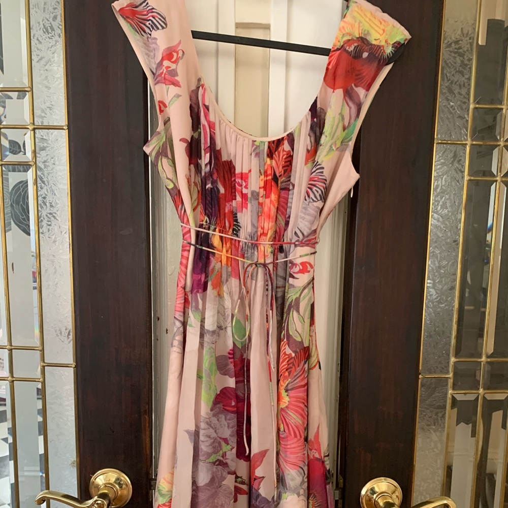 Ted Baker London Floral Dress